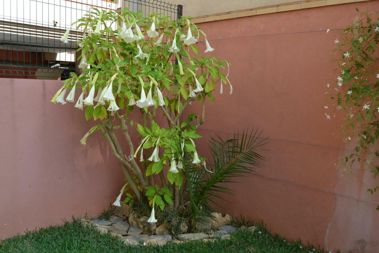 Apartamento Molino De Viento Appartement Fuengirola